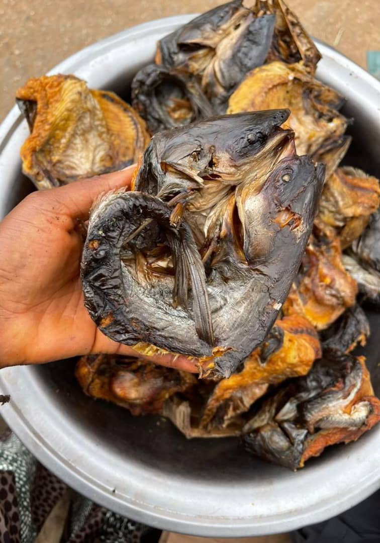 THAILAND FISH
